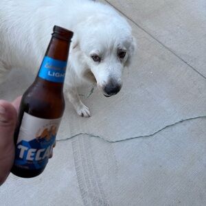 Meet your Posher, Diego